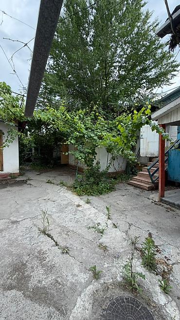 район церковь: Дом + полдома в районе Церкви, ул. Панфилова. - Площадь участка: 6 — 4