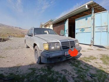 экскаватор продаж: Mercedes-Benz W124: 1987 г., 2.9 л, Механика, Дизель, Универсал
