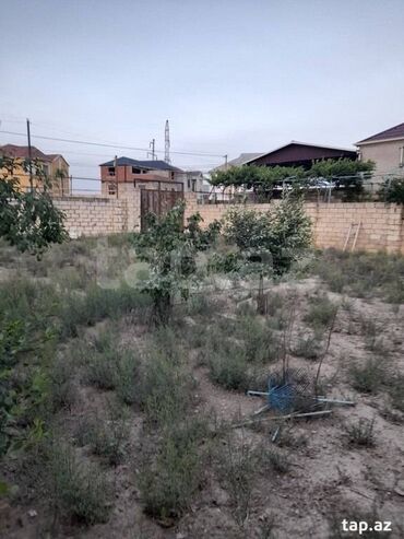 sabirabad torpaq: 3 sot, Tikinti, Maklerlər narahat etməsin, Kupça (Çıxarış), Müqavilə