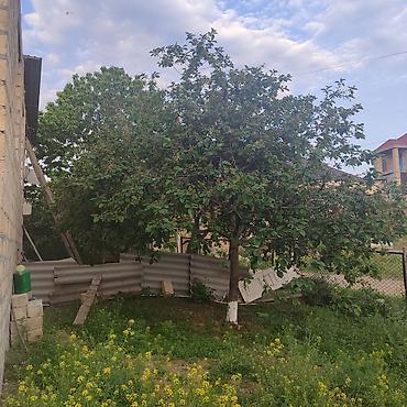 quba bina evleri: 2 otaqlı, 8 kv. m, Kredit yoxdur, Təmirsiz — 3