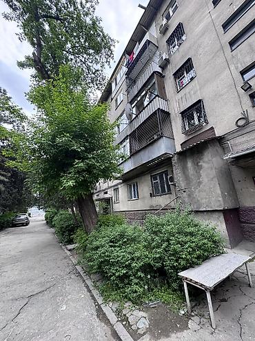 Продажа квартир: 3 комнаты, 58 м², Индивидуалка, 5 этаж, Евроремонт — 6