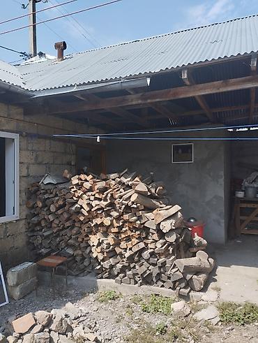 продать ковер бу: Ikisi biryerdə 250 manat real aliciya endirim olacaq — 4