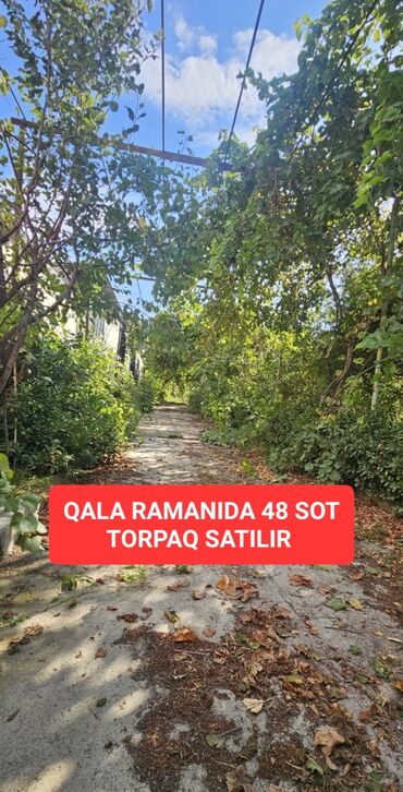 Otaqlar: 3 otaqlı, 1500 kv. m, Kredit yoxdur, Orta təmir