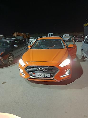 оранжевый саната: Hyundai Sonata: 2019 г., 2 л, Газ, Седан — 9