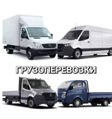 раскладушка каракол: Бус, Переезд, перевозка мебели, По региону, По городу, По стране, с грузчиком