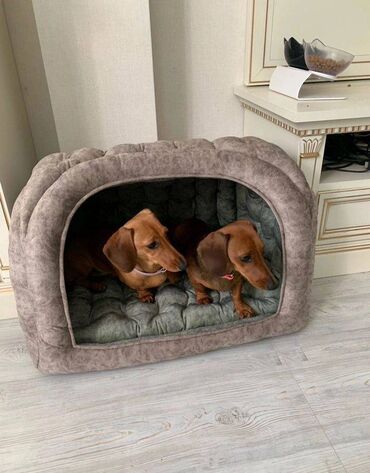 передержка животных: Домики для ваших животных 🐶 Насчет заказа обращайтесь в личные