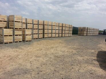 Drvena građa, šperploča: Box palete - sanduci za voće i povrće ‼box palete‼ ‼drvene palete‼ — 18