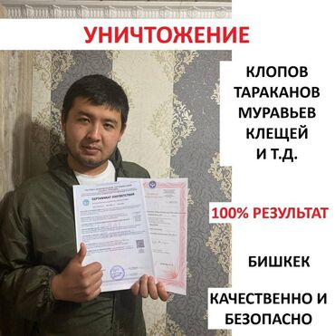 кредит за 5 минут на карту без отказа кыргызстан: Дезинфекция, дезинсекция, | Клопы, Блохи, Тараканы, | Офисы, Квартиры, Дома