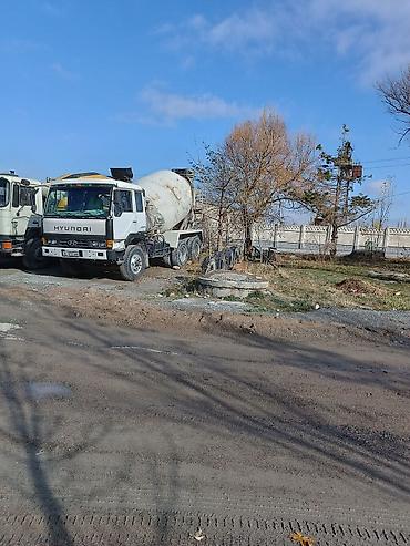 7куб: Бетономешалка, Hyundai, 1994 г., до 7 м3 — 3