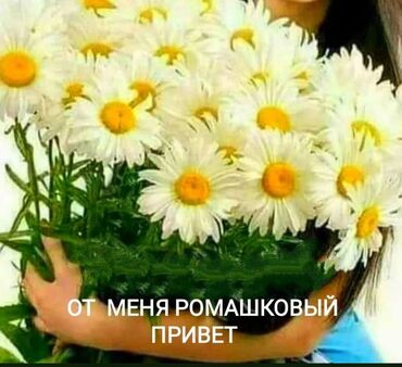 купить квартиру с первоначальным взносом: 2 комнаты, Собственник, Без подселения, Без мебели