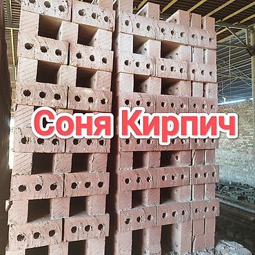 Тешиктүү, Бышкан кирпич, Жарым блок, 250×120×90