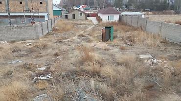 винсовхоз токмок: 5 соток — 4