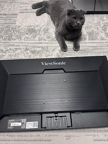 viewsonic vx2780 2k pro: Монитор ViewSonic VX2758-2K-PRO-S Состояние отличное, 9/10. Кабель — 3