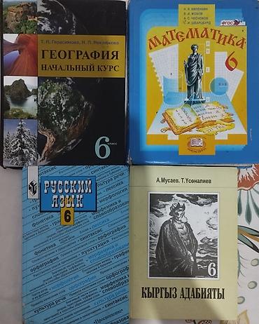 Учебники: Учебники для средней школы (6–7 классы) предметных изданий на русском — 1