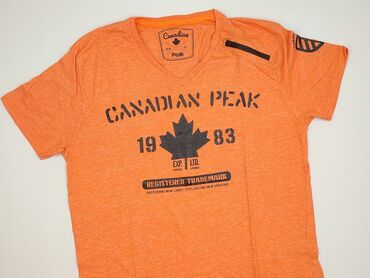 koszulka z gołębiem allegro: T-shirt for men, size XL