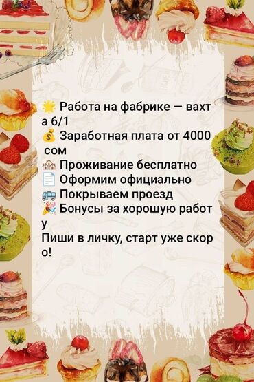 ищу работу в турецкой фирме: 🧁 Работа на производстве сладостей и закусок 📌 Вахтовый график 6/1 — с