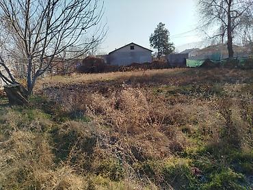 Продажа коттеджей и домов: Продаётся жилой дом с участком. - Индивидуальный жилой дом на — 7