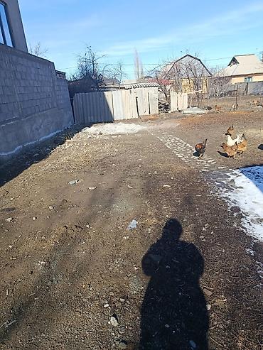 Жер тилкелери: 4 соток, Курулуш, Кызыл китеп — 2