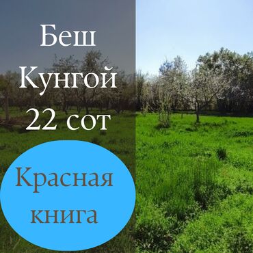 домик в лесу: 22 соток, Для строительства, Договор дарения, Красная книга, Тех паспорт