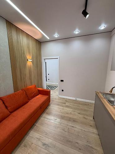 60: 1 комната, 34 м², Технопарк Элитка, 1 этаж, Евроремонт — 7
