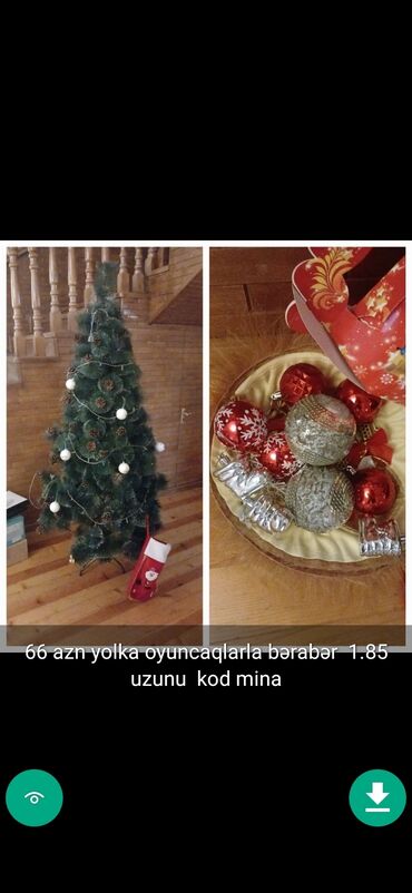 Yeni il ağacları: Yolkalar şaxda baba sekillerde qiymət məlumat qeyd olunub unvan Gence -da lalafo.az — 24 Yeni il ağacları: Yolkalar şaxda baba sekillerde qiymət məlumat qeyd olunub unvan Gence — 24