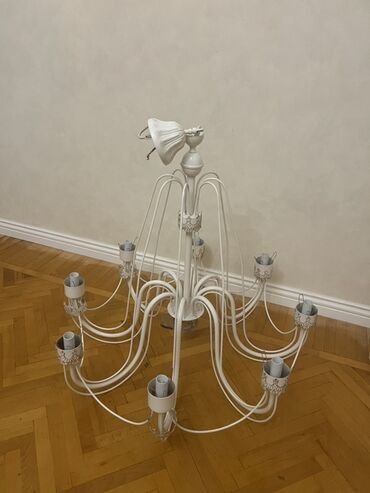 Otaq bitkiləri: Çılçıraq, 10 və daha çox lampa, Metal