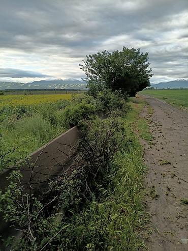 Продажа участков: 250 соток — 8