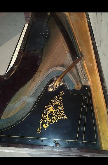 fort salon: Antik kuyruklu piano – Wills. Pethmüller & Sohn, Göttingen - — 6