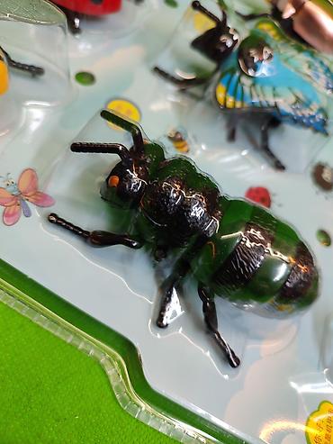 Игрушки: Насекомые игрушки заводные в комплекте для детей🐝 Комплектация at lalafo.kg — 12 Игрушки: Насекомые игрушки заводные в комплекте для детей🐝 Комплектация — 12