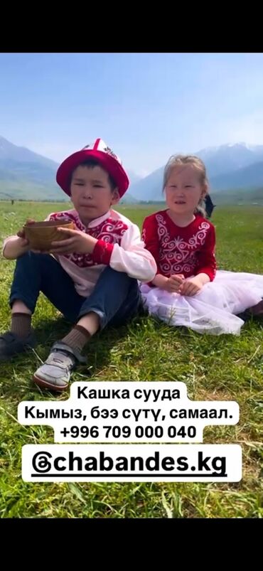 Молочные продукты и яйца: Саамал, кымыз