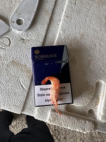 balığ satışı: Çay krevetkası movcuddur topdan satış Keyfiyətli maldı Krevetka — 2