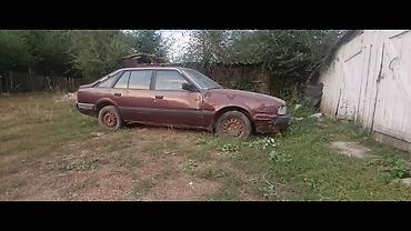 ист крыло: Mazda 323: 1988 г., 2 л, Механика, Лифтбек — 3