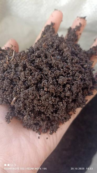 Удобрения и садовая химия: Удобрение Гумус, Самовывоз — 2