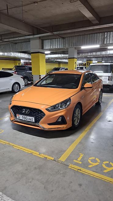 sonata: Hyundai Sonata: 2019 г., 2 л, Автомат, Газ, Седан — 3