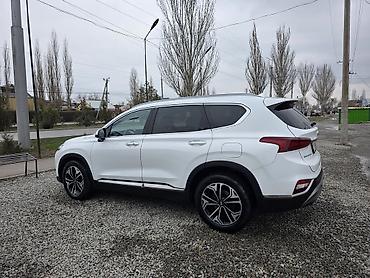 Hyundai: Hyundai Santa Fe: 2019 г., 2 л, Автомат, Кроссовер — 12