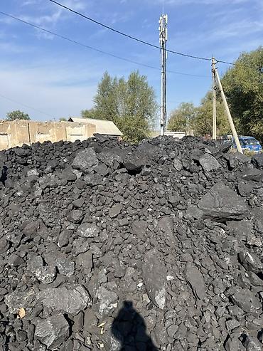 дрова уголь: Уголь каменный навальный - Фракция: смесь кусков от мелкой до крупной — 1