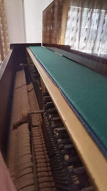 İdman və hobbi: Şverin (Schwerin) upright pianino - Korpus: tünd qəhvəyi, yüksək — 2