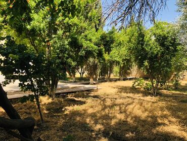 Günlük kirayə evlər: 120 kv. m, 5 otaqlı, Artezian quyusu, Su, Qaz — 9