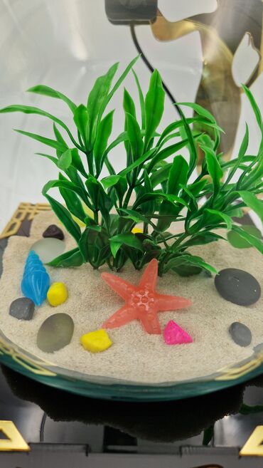 Akvariumlar: Yumru akvarium, Balıqlarla birlikdə, 3 l, Pulsuz çatdırılma — 4