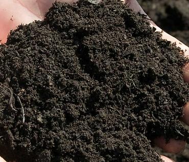 Грунт, чернозем: В тоннах, Бесплатная доставка, Зил — 1