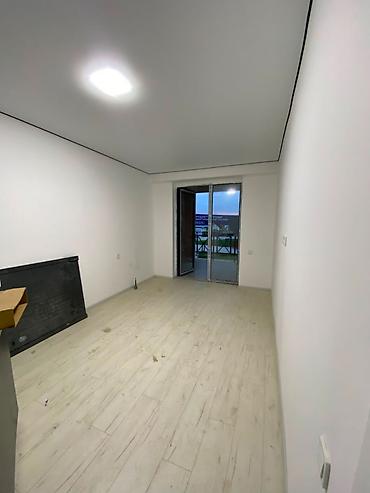 1 bedroom: 1 комната, 60 м², Элитка, 1 этаж, Косметический ремонт — 3