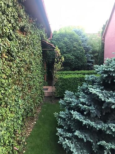 Продажа коттеджей и домов: Продаётся уютный 2-этажный дом мансардного типа в тихом и зелёном — 5