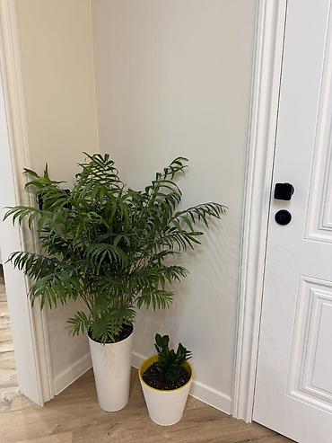 Продажа квартир: 2 комнаты, 50 м², Тунгуч мкр Элитка, 13 этаж, Евроремонт — 8