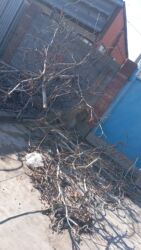 садовую тележку: Дрова