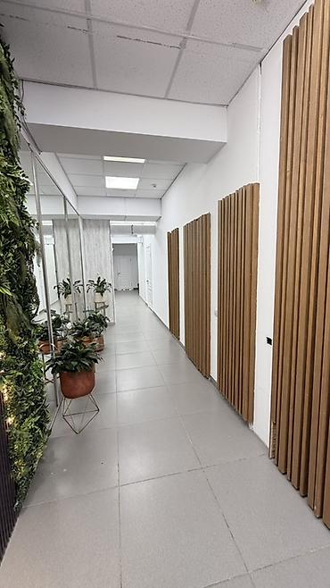 beta stores 2: Сдаю The entire office: Сдаю Банковское отделение, Колл-центр, Нотариус, 30 м², В бизнес центре, С ремонтом, 1 линия — 2