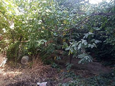 32: Qaraçuxur qəs. 3 otaqlı, 35 kv. m, Kredit yoxdur, Təmirsiz — 4