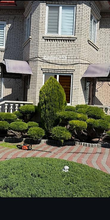 Ландшафтные работы и уход за садом - Профессиональная обрезка