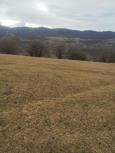 Torpaq sahələrinin satışı: 130 sot, Kənd təsərrüfatı, Kupça (Çıxarış) — 4