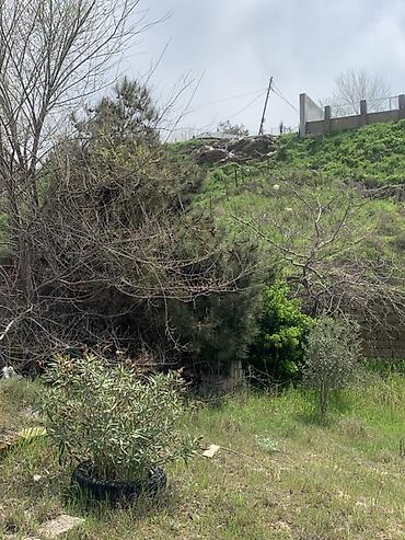 bartee: 6 sot, Tikinti, Mülkiyyətçi, Kupça (Çıxarış) — 10