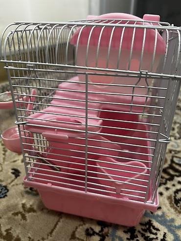 Qəfəslər: 1 ədəd ana hamster 3 ədəd bala hamster 2 kletka biri böyük biri — 4